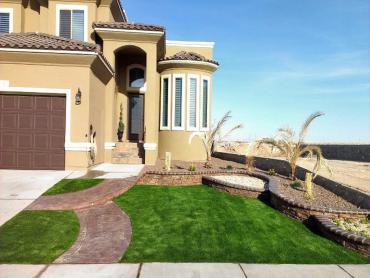 Artificial Grass Photos: Artificial Turf Homeland, California Lawns, Front Yard Landscaping Ideas