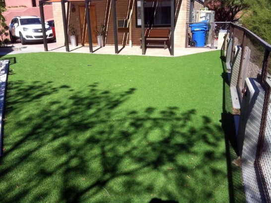 Artificial Grass Photos: Artificial Turf Indian Wells, California Home And Garden, Backyard Landscaping