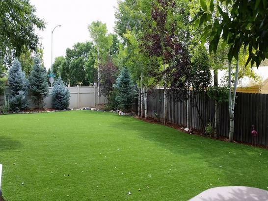 Artificial Grass Photos: Artificial Turf Installation Belvedere, California Cat Playground, Beautiful Backyards