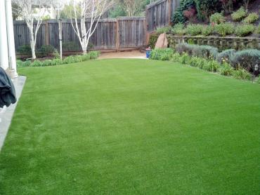 Artificial Grass Photos: Artificial Turf Installation East Blythe, California Lawn And Landscape, Backyard Landscaping Ideas