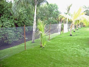 Artificial Grass Photos: Artificial Turf Installation Hidden Hills, California Lawn And Garden, Backyard Ideas