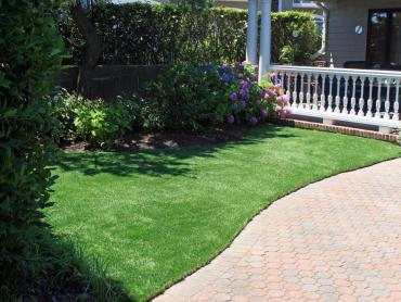 Artificial Grass Photos: Artificial Turf Installation Mountain View Acres, California Rooftop, Front Yard Landscaping Ideas