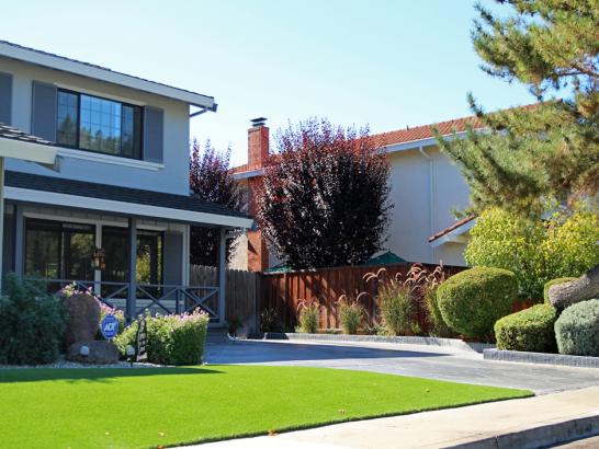 Artificial Grass Photos: Artificial Turf Installation Quail Valley, California Landscape Design, Front Yard Ideas