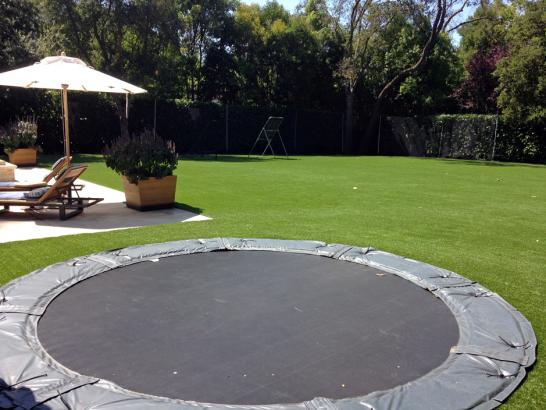 Artificial Grass Photos: Artificial Turf Installation Valencia, California Landscape Ideas, Backyard Ideas