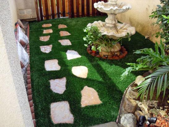 Artificial Grass Photos: Artificial Turf La Crescenta-Montrose, California Design Ideas, Backyard Designs