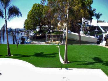 Artificial Grass Photos: Artificial Turf Mira Loma, California Home And Garden, Backyard Landscape Ideas