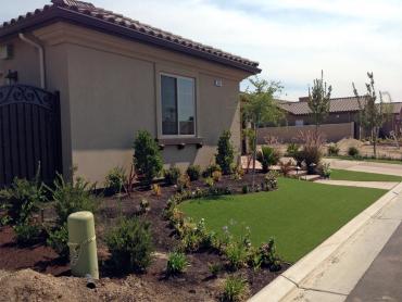Artificial Grass Photos: Artificial Turf Mira Loma, California Garden Ideas, Front Yard Landscape Ideas