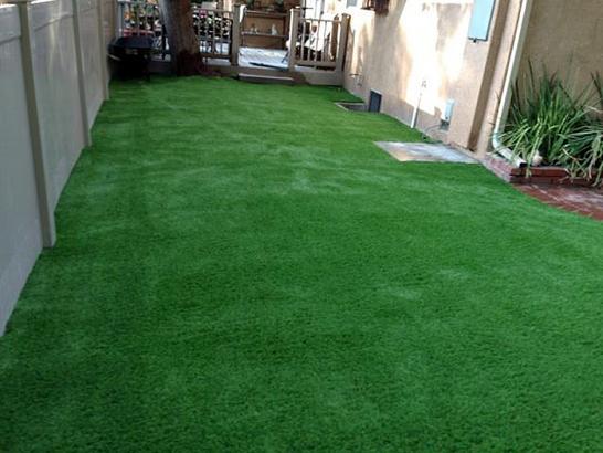 Artificial Grass Photos: Artificial Turf Pinon Hills, California Landscape Design, Small Backyard Ideas