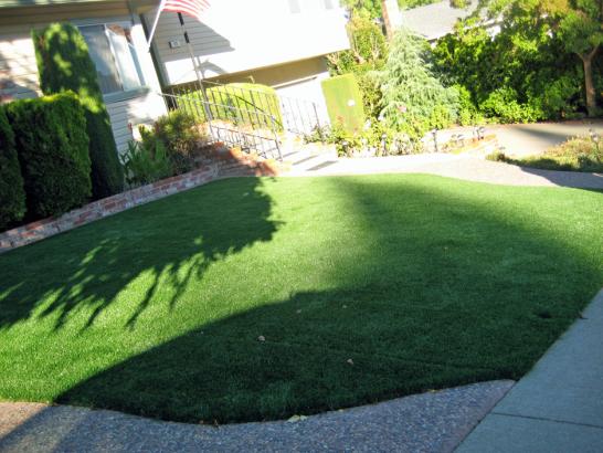 Artificial Grass Photos: Artificial Turf Quartz Hill, California Lawn And Garden, Front Yard Landscaping