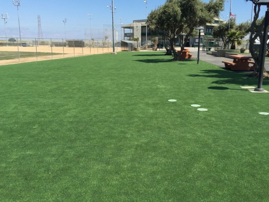 Artificial Grass Photos: Artificial Turf Sunnyslope, California Garden Ideas, Recreational Areas