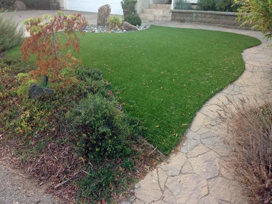 Artificial Grass Photos: Artificial Turf Valle Vista, California Cat Grass, Small Backyard Ideas