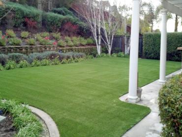 Artificial Grass Photos: Best Artificial Grass Grand Terrace, California Pet Turf, Small Backyard Ideas