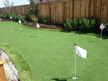 Artificial Grass Photos: Best Artificial Grass Hollywood, California Office Putting Green, Backyard Makeover