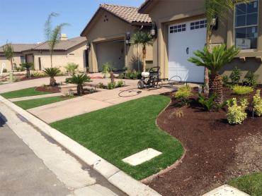 Artificial Grass Photos: Best Artificial Grass La Crescenta-Montrose, California Backyard Playground, Front Yard Ideas