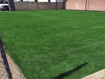 Artificial Grass Photos: Best Artificial Grass Lakeview, California High School Sports