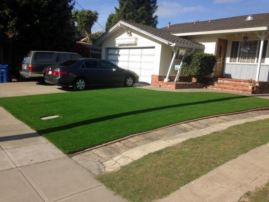 Artificial Grass Photos: Best Artificial Grass Lawndale, California Lawns, Front Yard