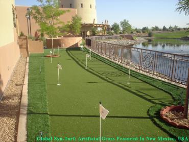 Best Artificial Grass Loma Linda, California Lawn And Landscape, Backyard artificial grass