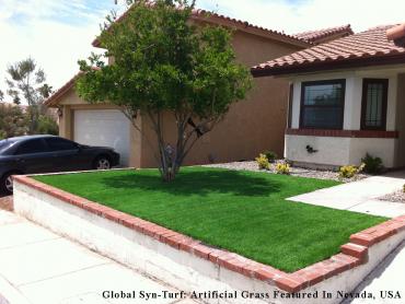 Artificial Grass Photos: Best Artificial Grass Mentone, California Landscaping, Front Yard Ideas