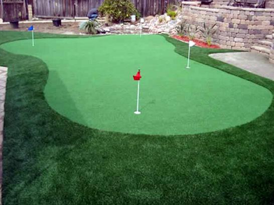 Artificial Grass Photos: Best Artificial Grass Norwalk, California Putting Green Grass, Backyard Makeover