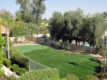 Artificial Grass Photos: Best Artificial Grass Torrance, California Backyard Deck Ideas, Backyard Ideas