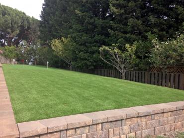 Artificial Grass Photos: Fake Grass Acton, California Home And Garden, Backyard Landscaping