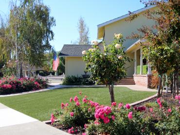 Artificial Grass Photos: Fake Grass Aguanga, California Landscaping Business, Front Yard Landscaping Ideas