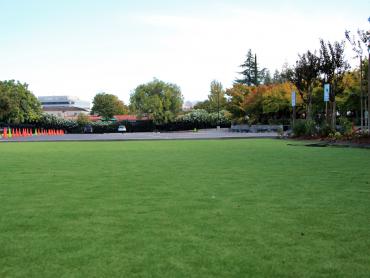 Artificial Grass Photos: Fake Grass Bell Gardens, California City Landscape