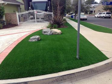 Artificial Grass Photos: Fake Grass Bluewater, California Garden Ideas, Front Yard