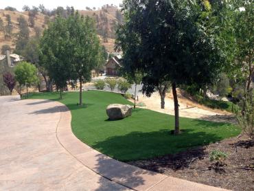 Artificial Grass Photos: Fake Grass Carpet Cathedral City, California Gardeners, Landscaping Ideas For Front Yard