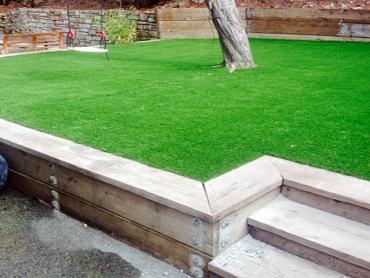 Artificial Grass Photos: Fake Grass Carpet Duarte, California Rooftop, Backyard Design