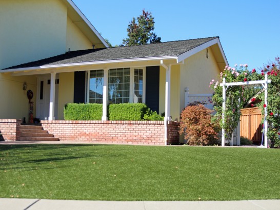 Artificial Grass Photos: Fake Grass Carpet Ladera Heights, California Design Ideas, Small Front Yard Landscaping