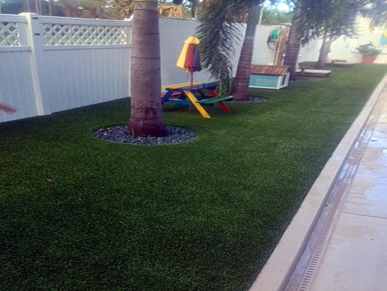 Artificial Grass Photos: Fake Grass Carpet Lake Arrowhead, California Landscape Design, Backyard Design