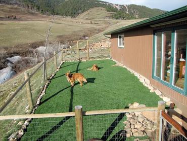 Artificial Grass Photos: Fake Grass Carpet Sedco Hills, California Dog Hospital, Backyard Design