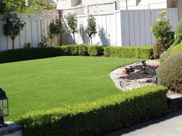 Artificial Grass Photos: Fake Grass Carpet Vernon, California City Landscape, Backyard