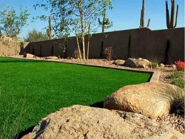 Artificial Grass Photos: Fake Grass Carpet Vincent, California Lawn And Garden, Backyard Ideas