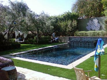 Artificial Grass Photos: Fake Grass Carpet Whittier, California Backyard Playground, Pool Designs