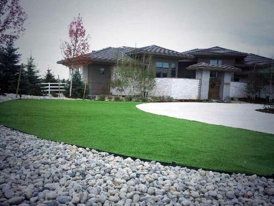 Artificial Grass Photos: Fake Grass Desert Edge, California Landscape Ideas, Front Yard Design