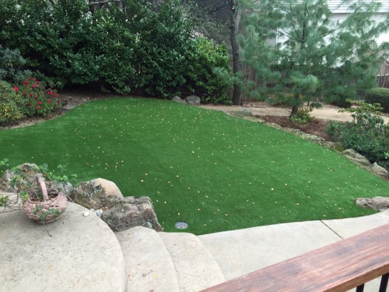 Artificial Grass Photos: Fake Grass Hermosa Beach, California Gardeners, Backyard