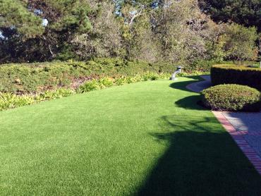 Artificial Grass Photos: Fake Grass Indio Hills, California Roof Top, Front Yard