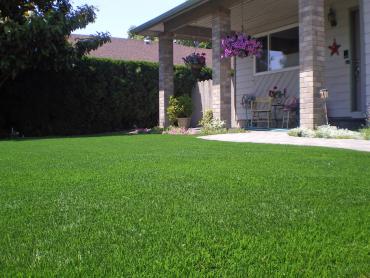 Artificial Grass Photos: Fake Grass Marina del Rey, California Rooftop, Front Yard Landscaping