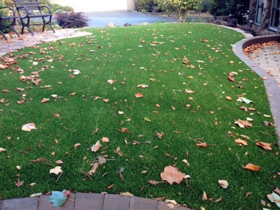 Artificial Grass Photos: Fake Grass Mead Valley, California Landscaping, Front Yard Landscaping