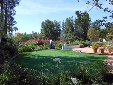 Artificial Grass Photos: Fake Grass Mountain View Acres, California Putting Green Flags, Backyard Landscaping