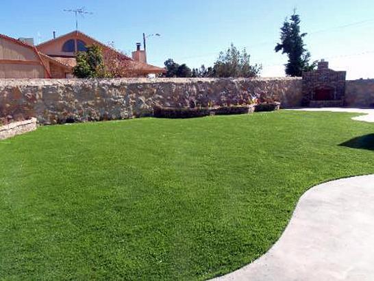 Artificial Grass Photos: Fake Grass Murrieta Hot Springs, California Landscape Photos, Backyard