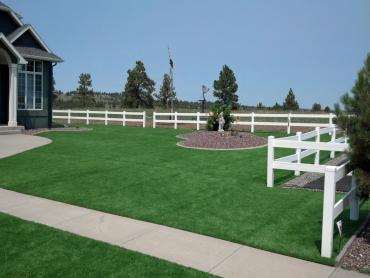 Artificial Grass Photos: Fake Grass Oak Glen, California City Landscape, Front Yard Landscaping