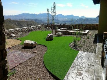 Artificial Grass Photos: Fake Grass Oak Hills, California Dog Running, Backyard Landscape Ideas