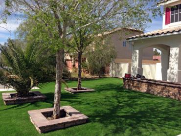 Artificial Grass Photos: Fake Grass Val Verde, California Landscape Design, Front Yard Ideas