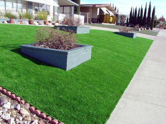 Artificial Grass Photos: Fake Grass Vernon, California Rooftop, Front Yard Landscape Ideas