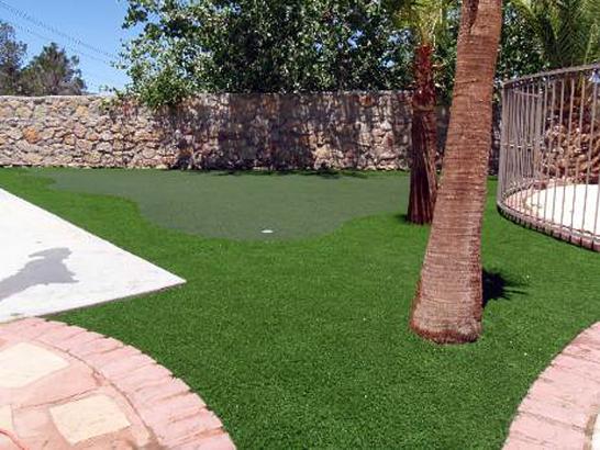 Artificial Grass Photos: Fake Lawn Adelanto, California Office Putting Green, Backyard Makeover