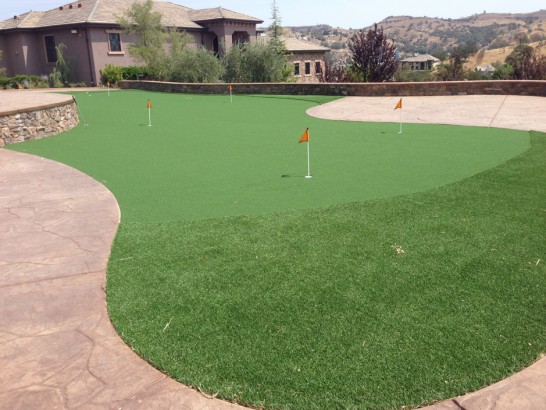 Artificial Grass Photos: Fake Lawn Beverly Hills, California Garden Ideas