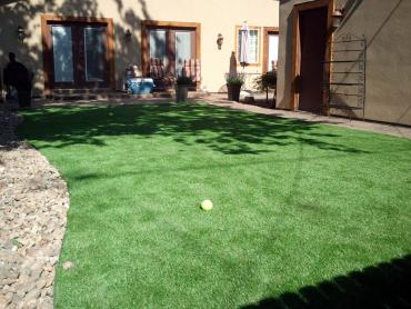 Artificial Grass Photos: Fake Lawn Blythe, California Rooftop, Backyard Landscaping